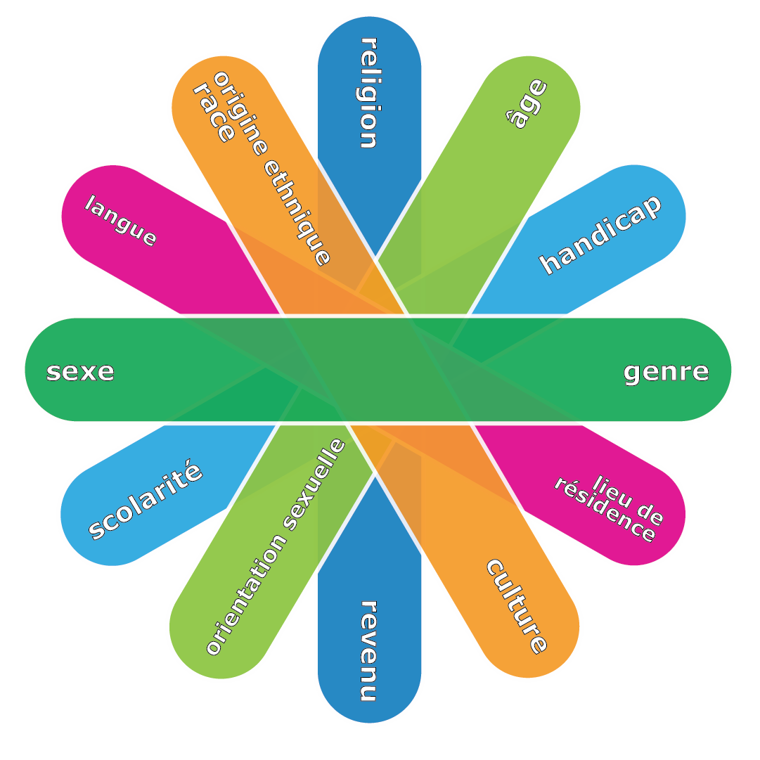 Image sur l’intersectionalité dans le deuxième encadré vert : diagramme illustrant certains facteurs identitaires examinés lors d’une ACS Plus.