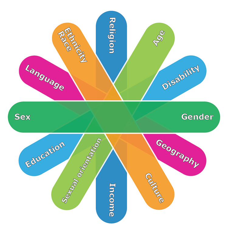 Intersectionality image illustrating some of the identity factors considered in GBA Plus