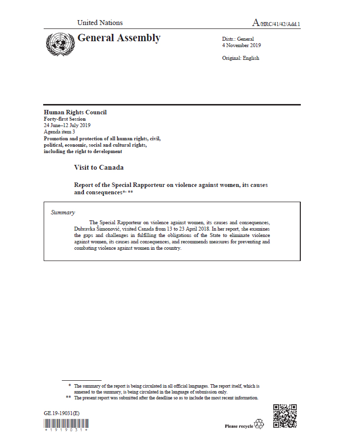 Cover of the Report of the Special Rapporteur